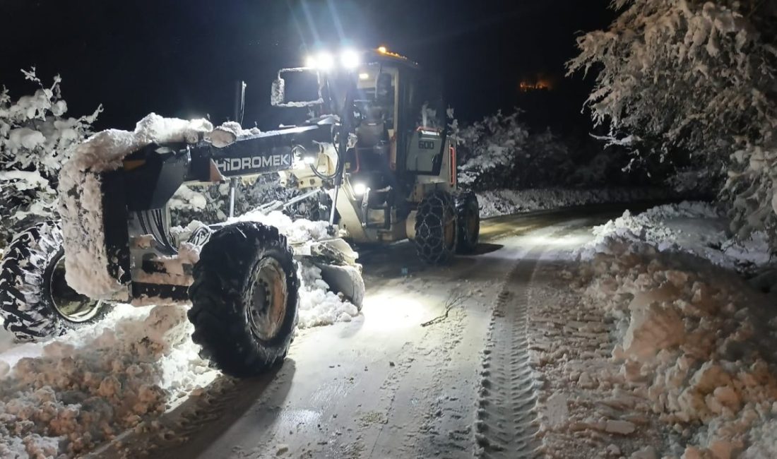 Ordu Büyükşehir Belediyesi, Karla Mücadelede 134 Mahalle Yolu, 15 Hasta