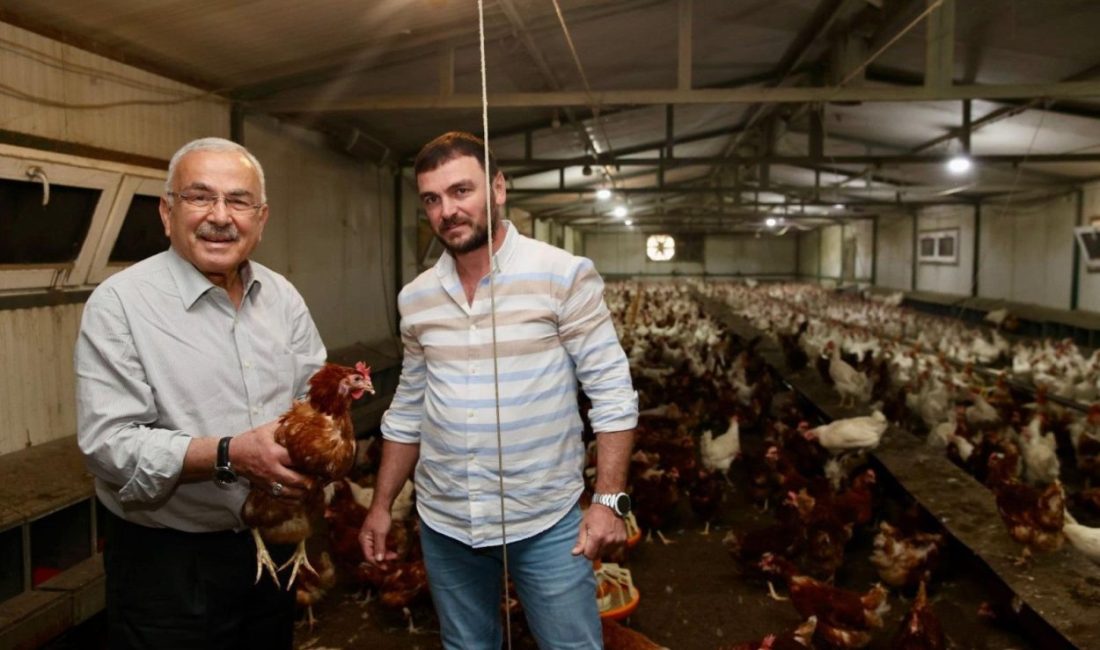 Ordu’da Yumurta Sektörü Yeniden Doğdu: İşletme Sayısı 85’e, Hedef 100