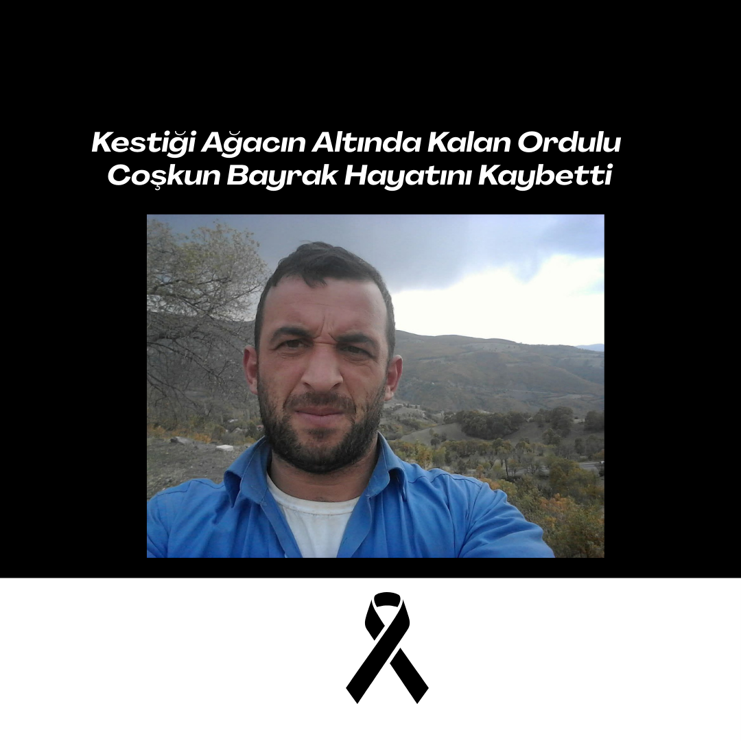 Kestiği Ağacın Altında Kalan Ordulu Coşkun Bayrak Hayatını Kaybetti coskun bayrak