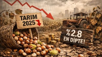 TÜİK Verileri Alarm Veriyor: Rekolte Çakıldı, Maliyet Fiyatı Aştı TÜİK’in