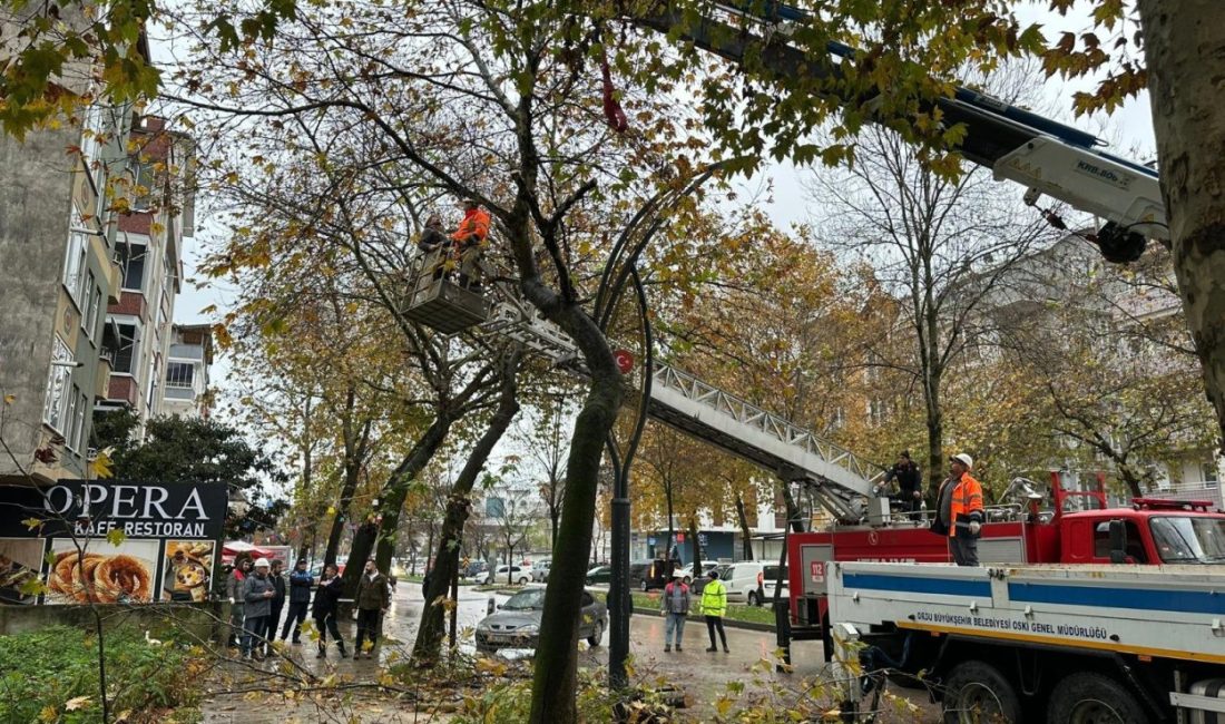 Ordu Büyükşehir’den Can ve Mal Güvenliği İçin Ağaç Budama Çalışması