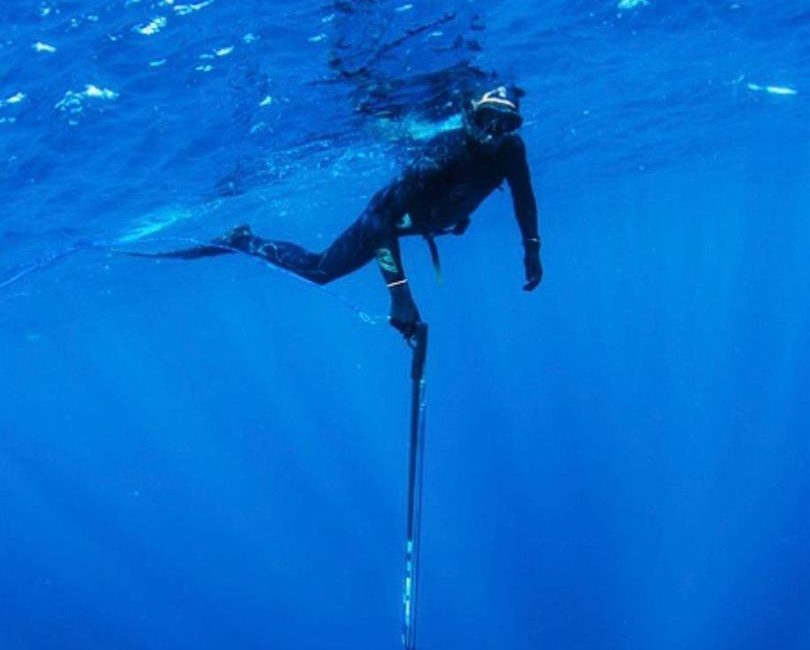 Tarım ve Orman Bakanlığı, 1380 sayılı Su Ürünleri Kanunu kapsamında