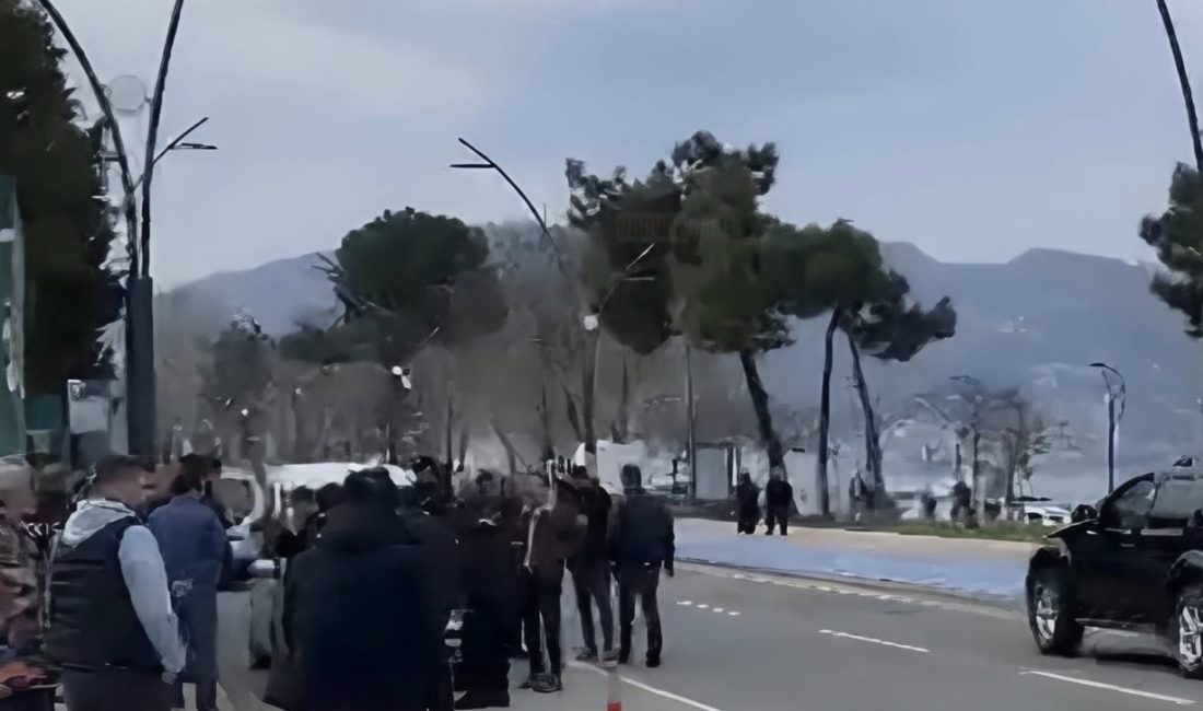 Ordu Altınordu’da, aynı marka ve model iki aracın park halindeyken