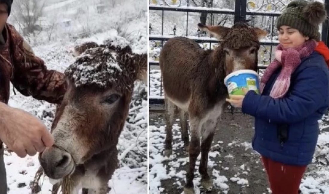 Ordu Emniyet Müdürlüğü, sosyal medyada ve bazı haber sitelerinde paylaşılan