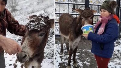 Ordu Emniyet Müdürlüğü, sosyal medyada ve bazı haber sitelerinde paylaşılan