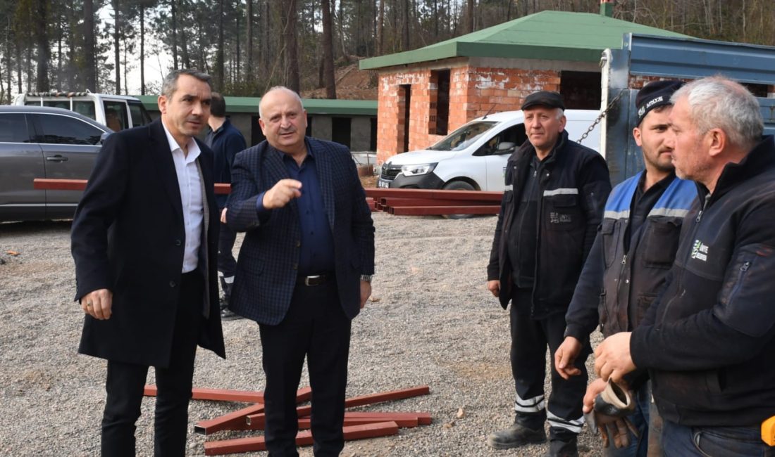 Ünye Belediyesi, sokak hayvanlarının daha sağlıklı ve güvenli bir ortamda