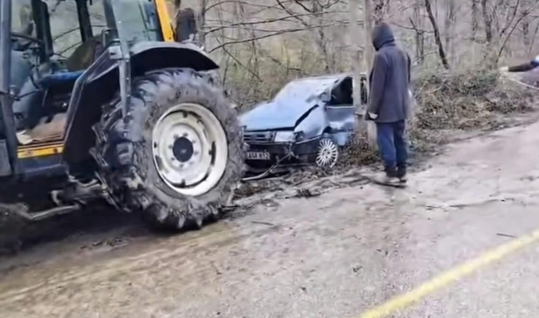 Ordu’nun Çatalpınar ilçesinde yola aniden çıkan bir köpeğe çarpmamak isteyen