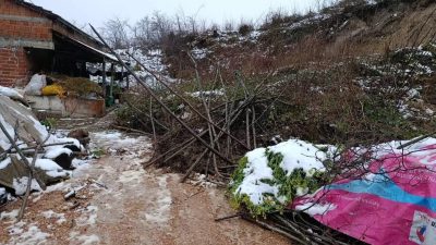 Fatsa ilçesine bağlı Yukarıardıç Mahallesi Hatipler Sokak Balcılar mevkiinde toprak