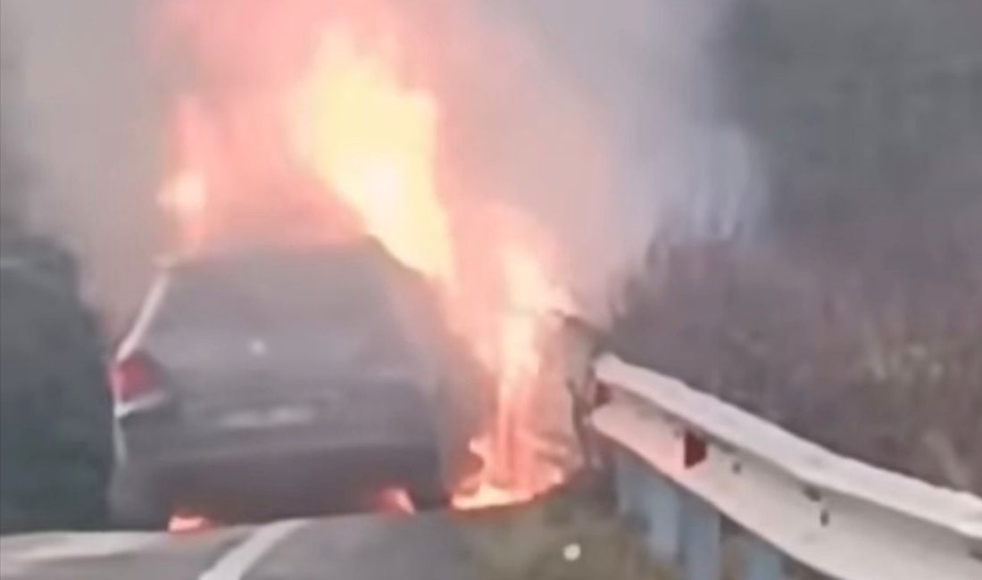 Ordu’nun Korgan–Fatsa yolu Düğünlük Mevkii’nde seyir halinde bulunan bir araç,