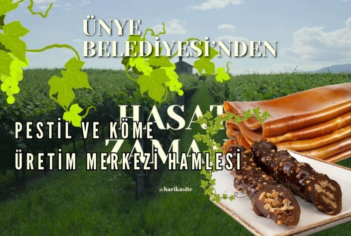 Ünye’de Yöresel Lezzetlere Yeni Yatırım: Pestil ve Köme Üretim Merkezi