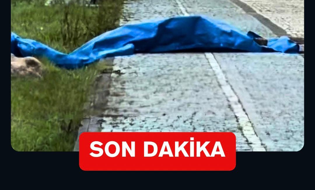 Fatsa ilçesine bağlı Bolaman Mahallesi sahilinde, 26 Mart 2026 Perşembe