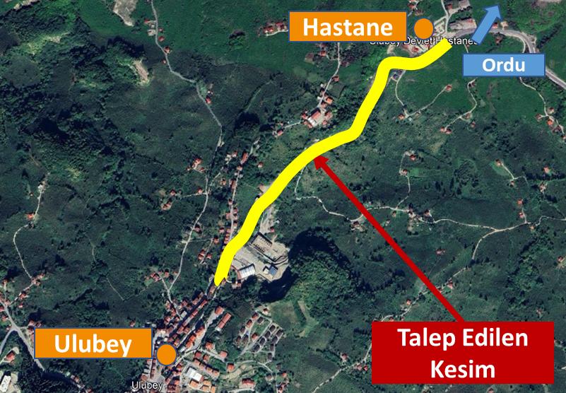 ordu vali