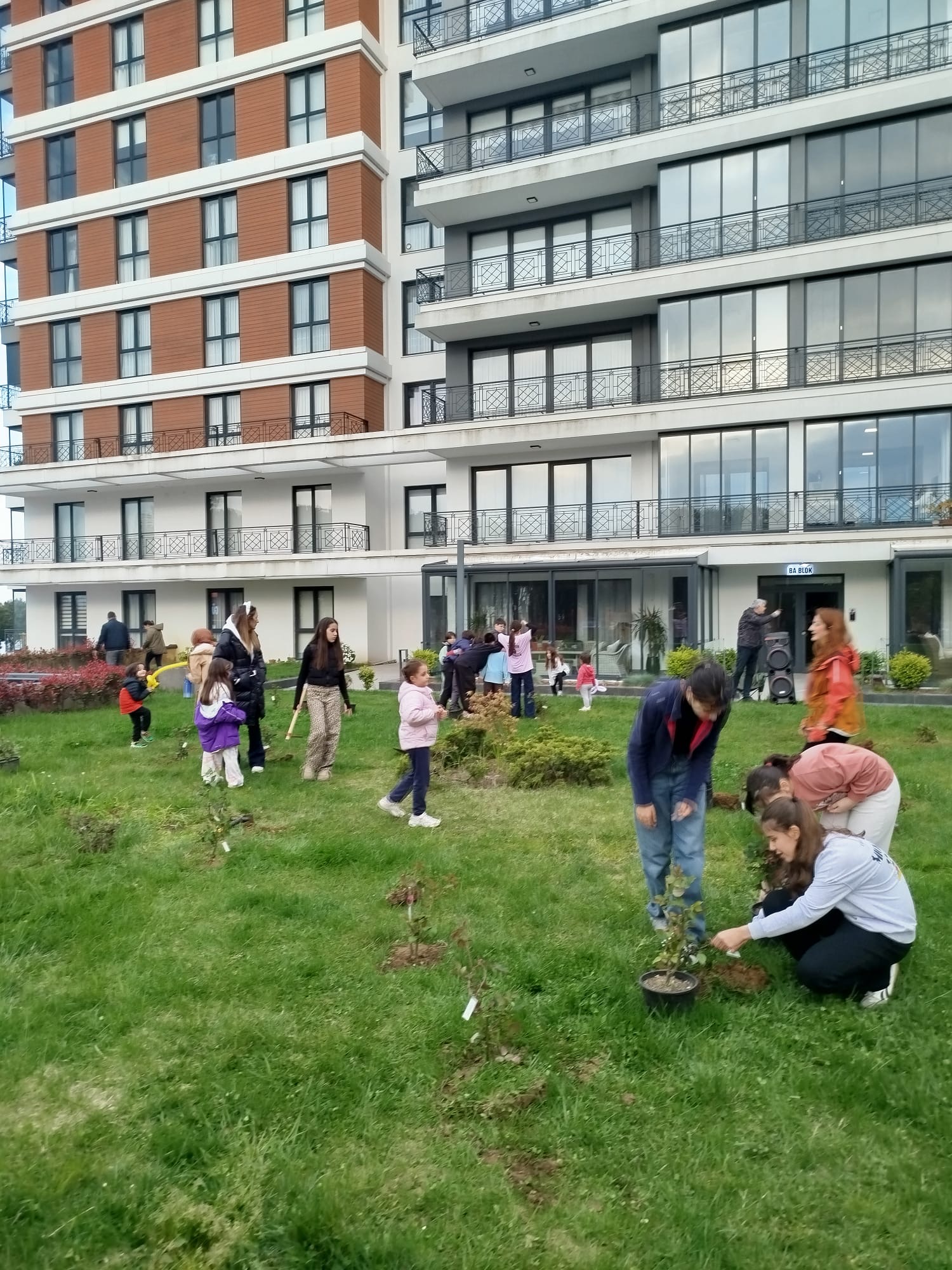 11b77139 582b 489f ab86 62598b0e61b4