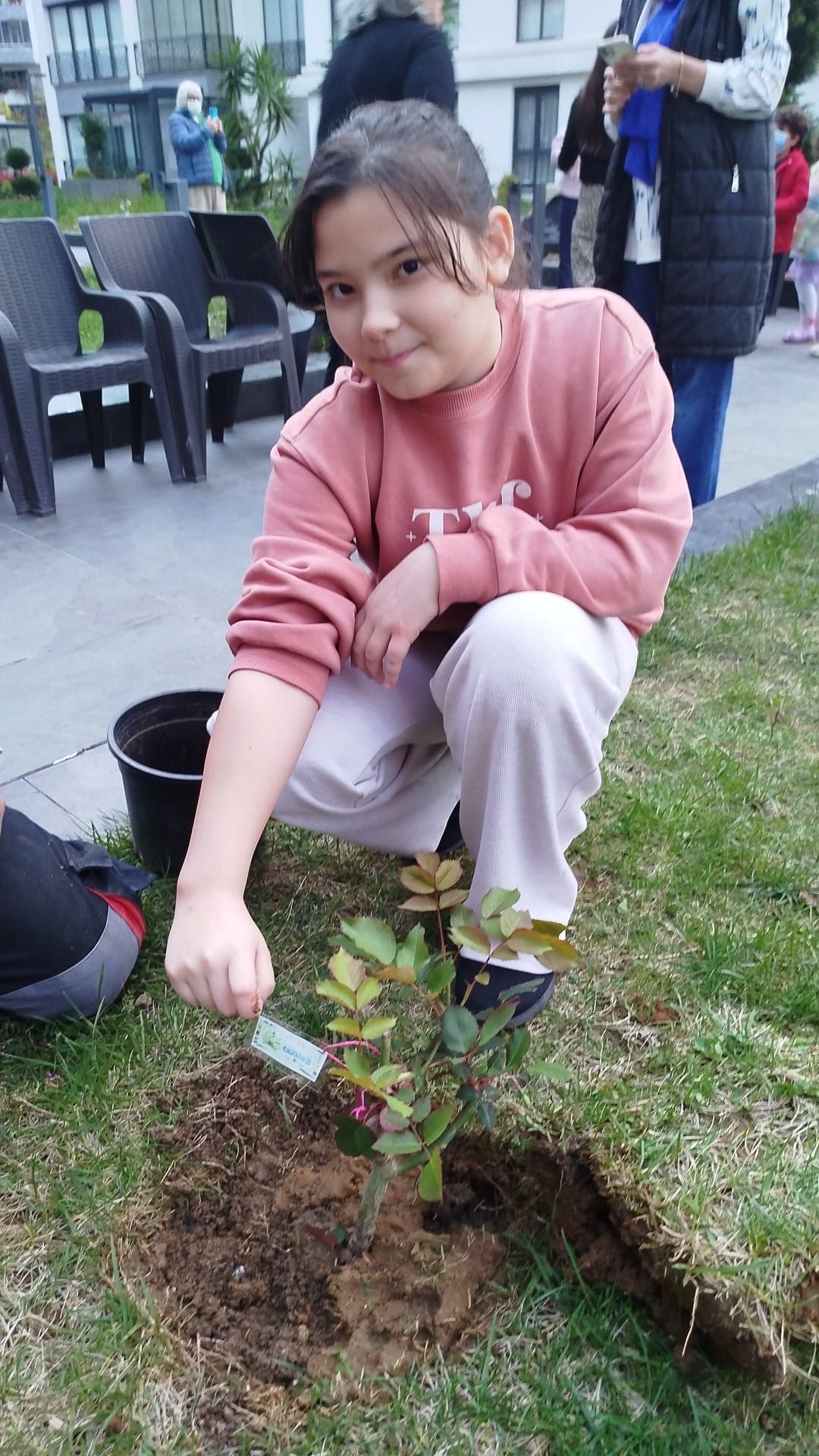 6e50c404 c9b5 40d5 b7e2 d2318221c99f