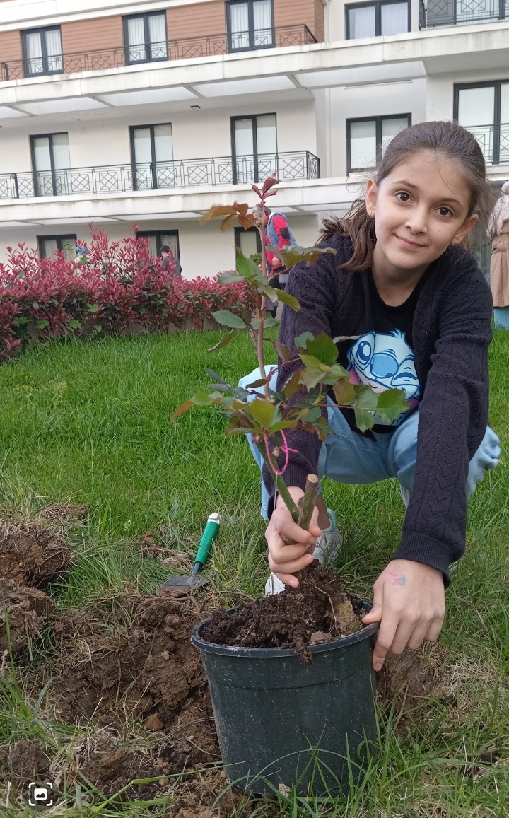 93c44e7a 3122 4668 b81e eab315df0ea4