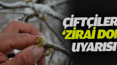 Ordu için yapılan son meteorolojik değerlendirmeler, tarımsal üretimi tehdit eden