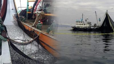 Ordu İl Tarım ve Orman Müdürlüğü, su ürünleri kaynaklarının korunması