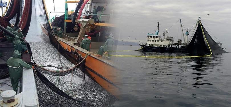 Ordu İl Tarım ve Orman Müdürlüğü, su ürünleri kaynaklarının korunması