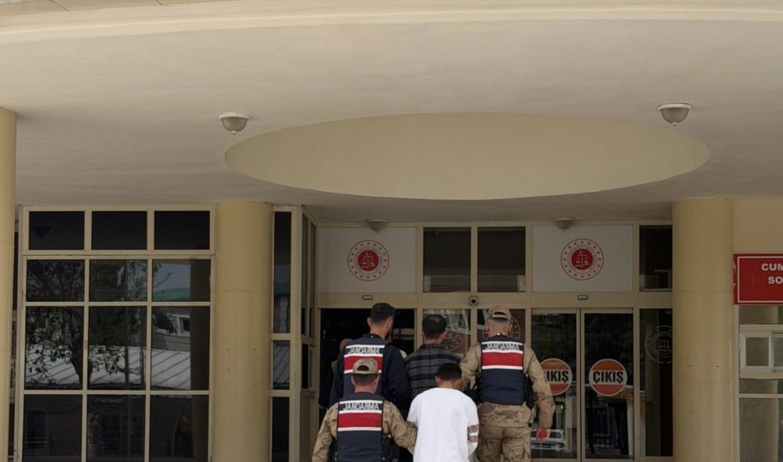 Ordu İl Jandarma Komutanlığı’nın operasyonu sonucu infial yaratan Telegram grubu