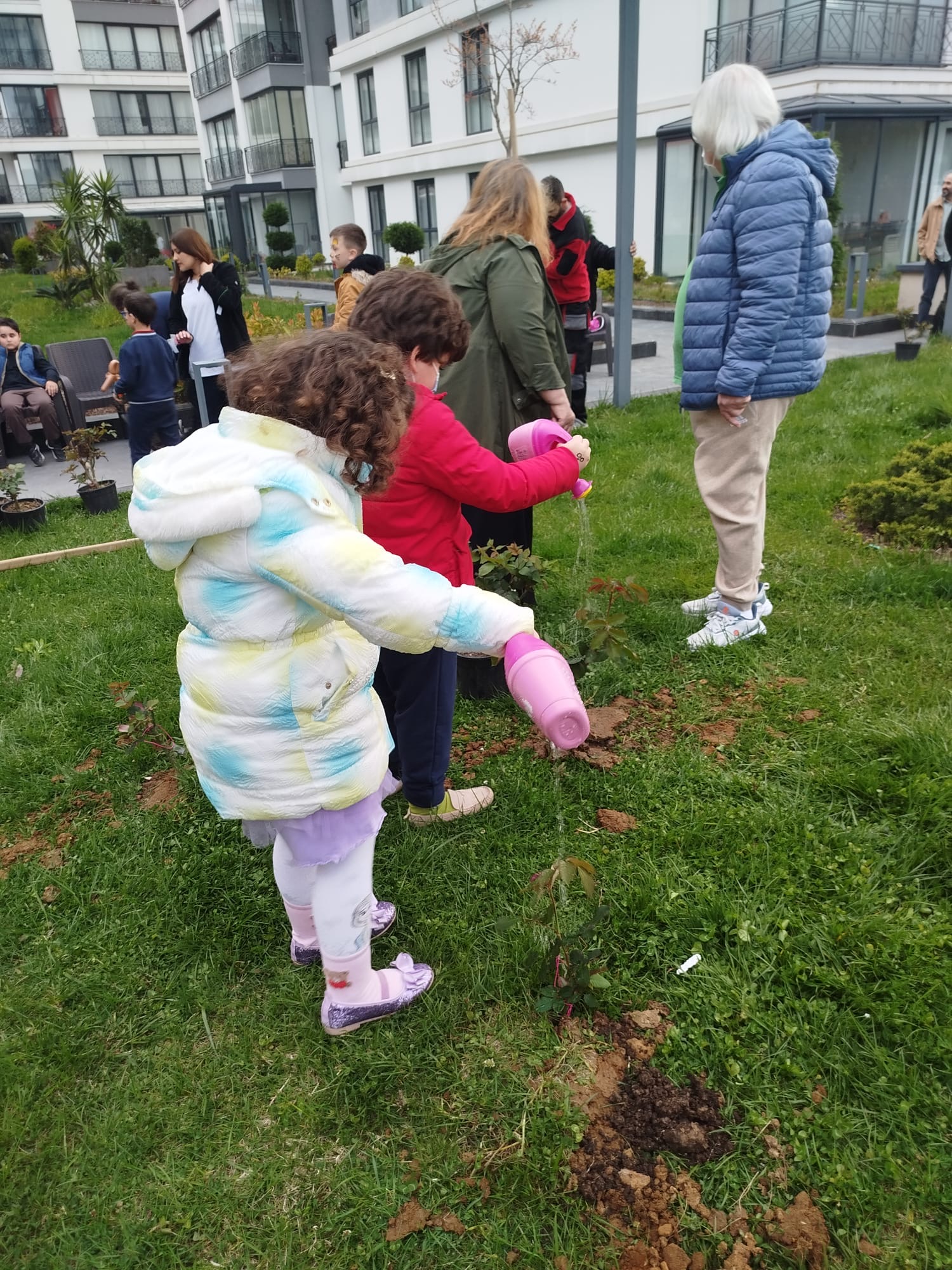 ace47774 6bb2 471f bbcc df85834b5f3e