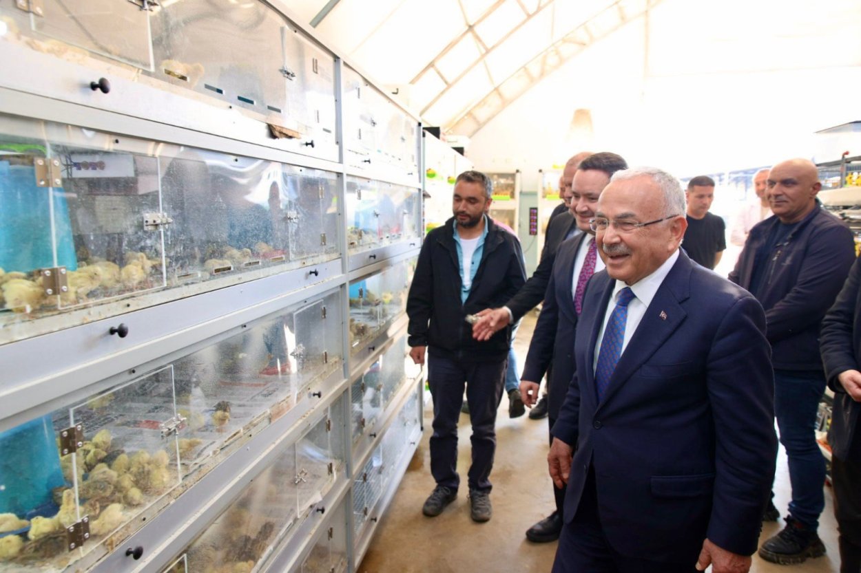 kendi kendine yeten ordu 5643