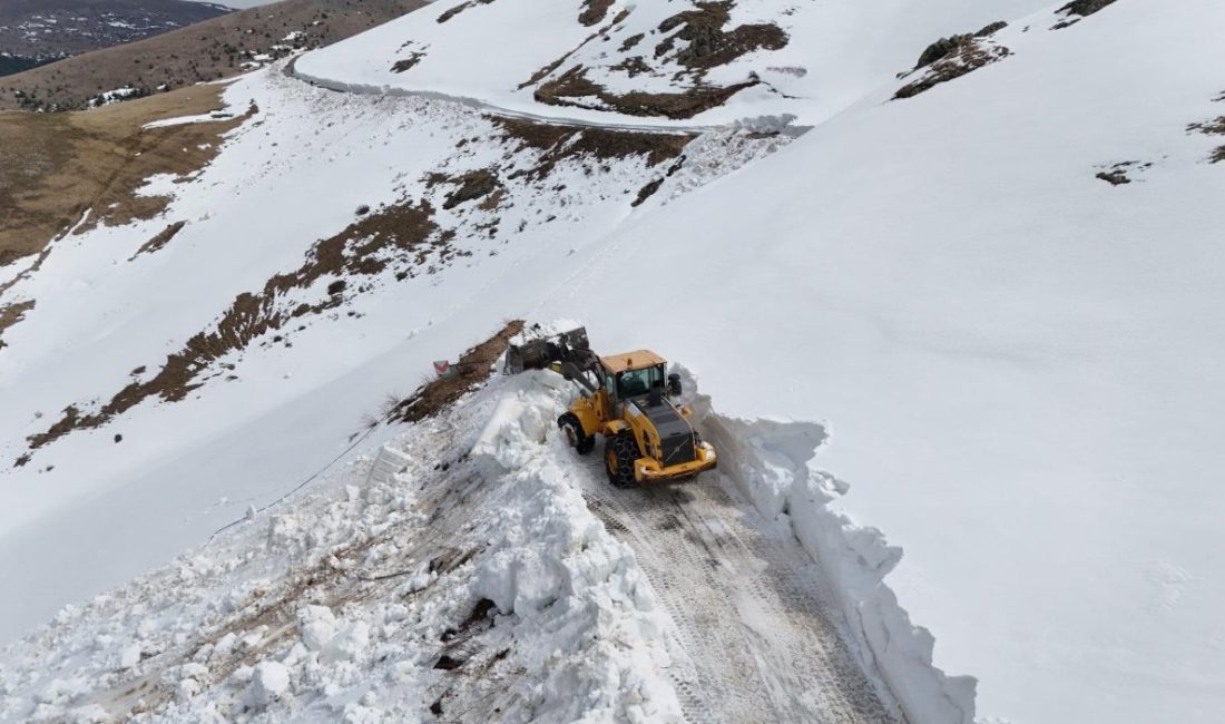 Ordu’da Mayıs ayına yaklaşılmasına rağmen yüksek rakımlı bölgelerde etkili olan