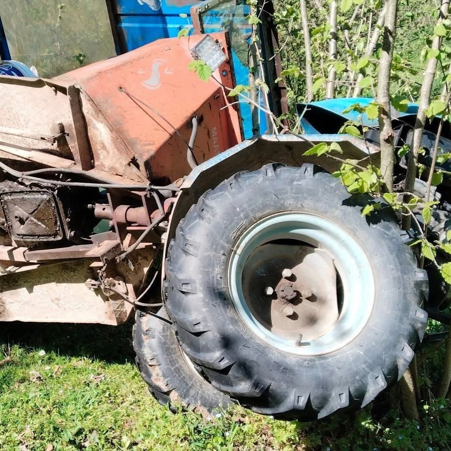 patpat findik bahcesine yuvarlandi