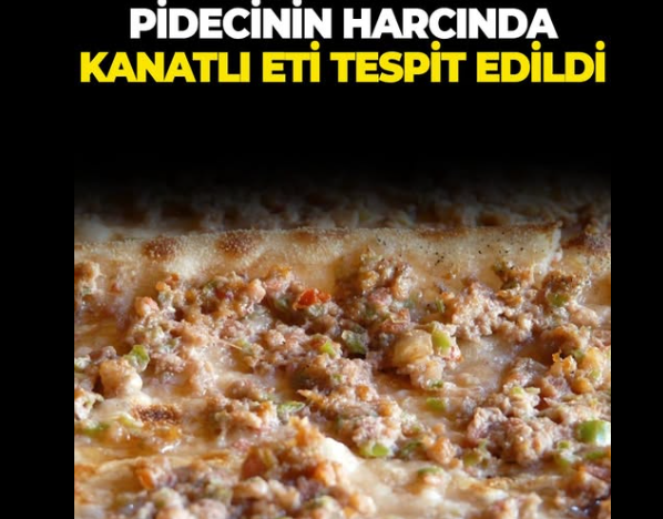 Ordu Fatsa’da Pide Harcında Kanatlı Eti Tespit Edildi Tarım ve