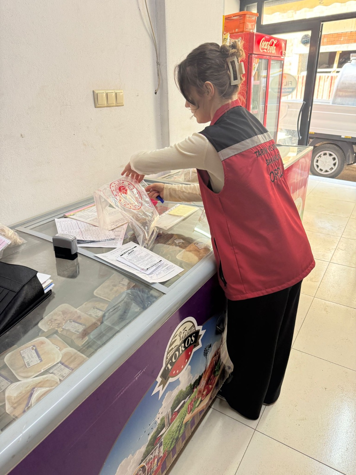 sut ve sut urunleri denetim 2