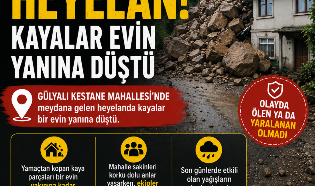 Ordu’nun Gülyalı ilçesinde meydana gelen heyelanda yamaçtan kopan kaya parçaları