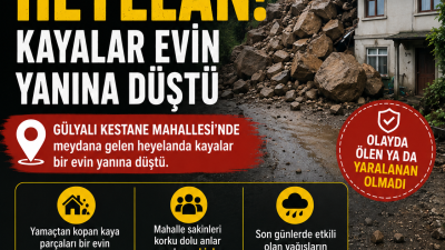 Ordu’nun Gülyalı ilçesinde meydana gelen heyelanda yamaçtan kopan kaya parçaları