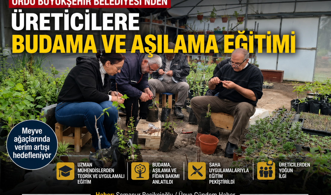 Ordu Büyükşehir Belediyesi üreticilere budama ve aşılama tekniklerini uygulamalı olarak