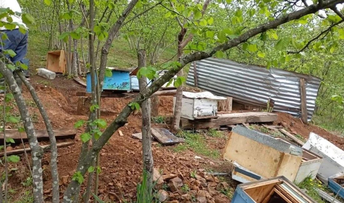 Ordu’nun Aşağı Yavaş Mahallesi’nde sabah saatlerinde yaşanan olay, bölgede endişeye