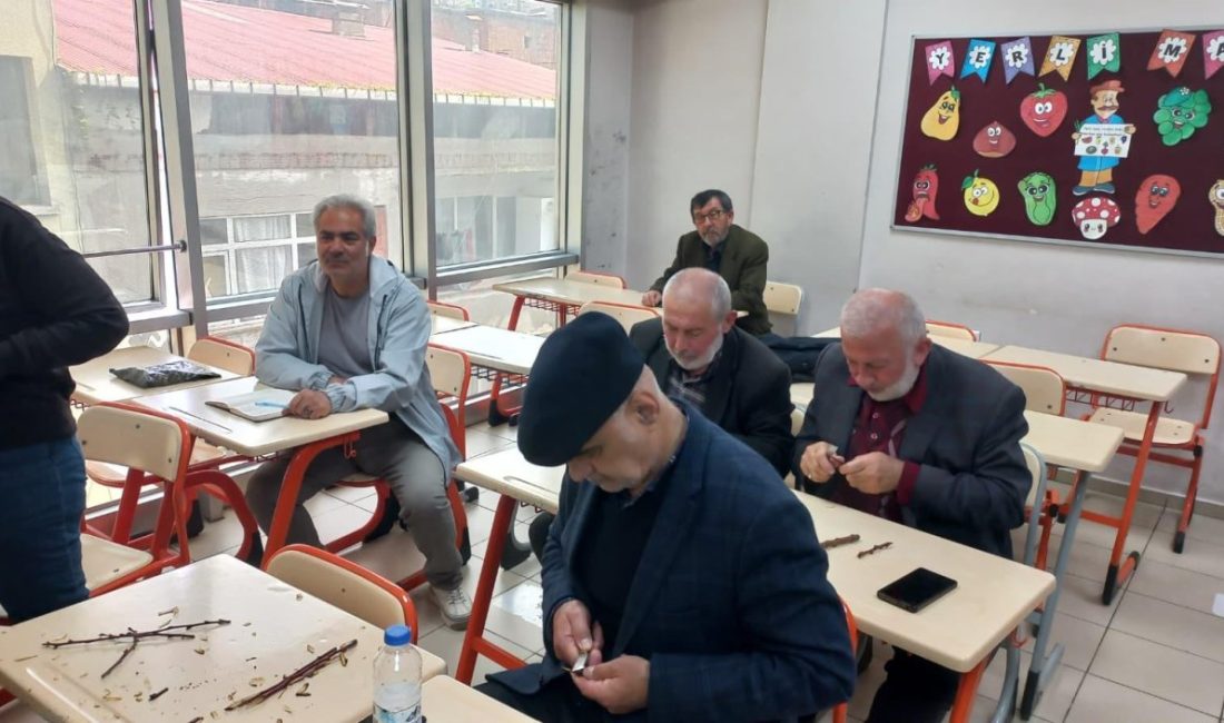 Ordu’da Meyve Ağaçlarında Aşılama Eğitimi: Üreticilere Doğru Teknikler Öğretiliyor Ordu