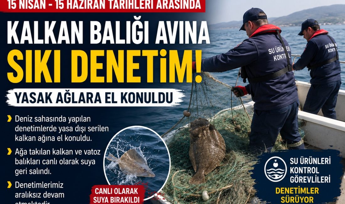 Deniz sahasında yapılan denetimlerde yasa dışı serilen kalkan ağına el