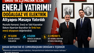AK Parti Mustafa Hamarat, Enerji ve Tabii Kaynaklar Bakanı Alparslan