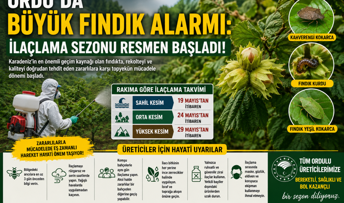Ordu’da fındık üreticileri için ilaçlama takvimi açıklandı. Yetkililer, zararlılarla mücadelede