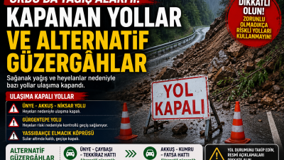 Ordu genelinde etkili olan kuvvetli yağış ve heyelanlar nedeniyle bazı