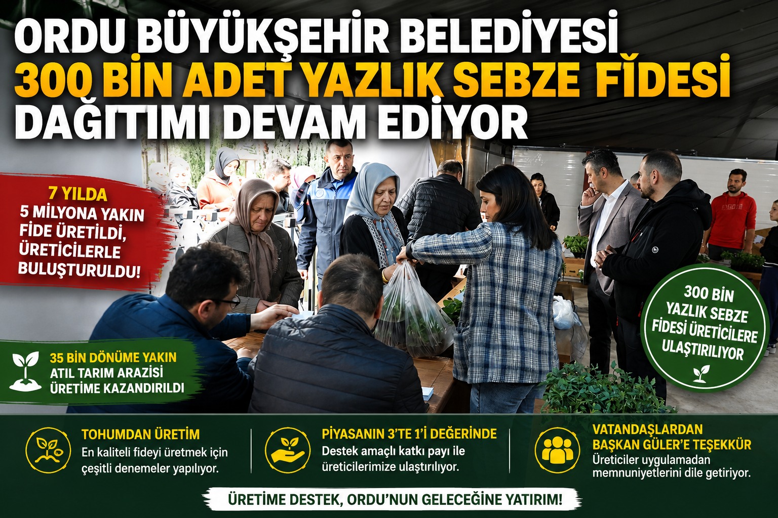 yazlik sebze fidesi