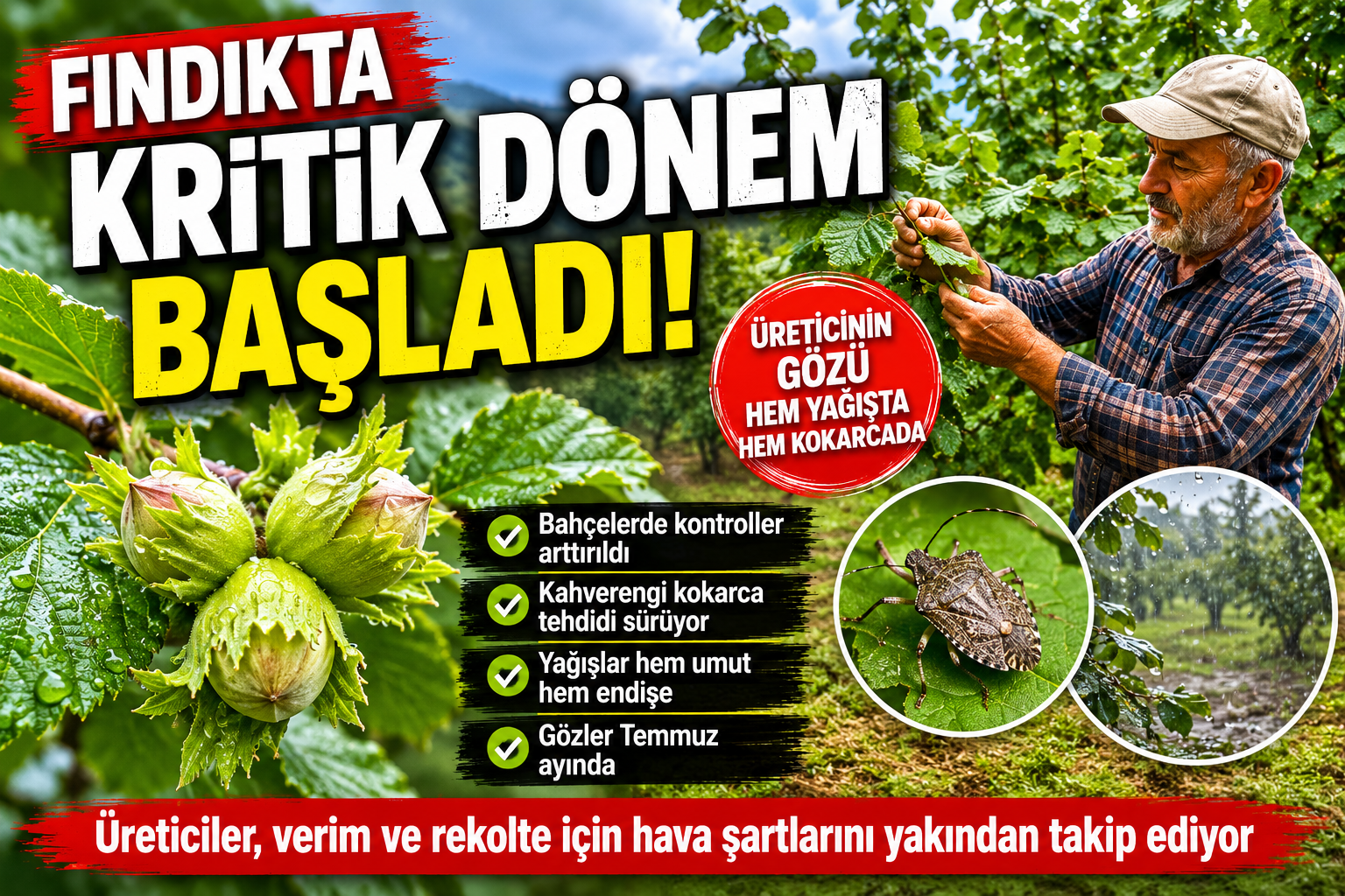 Haziran ayına girilmesiyle birlikte Ordu’da fındık üreticileri bahçelerdeki gelişimi yakından