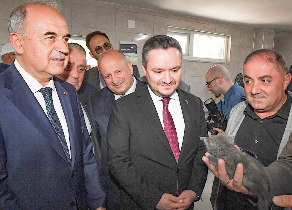 KARADENIZDE BIR ILK UNYEDE CAN DOSTLAR ICIN MAVI YESIL BIR YUVA DOGDU 13