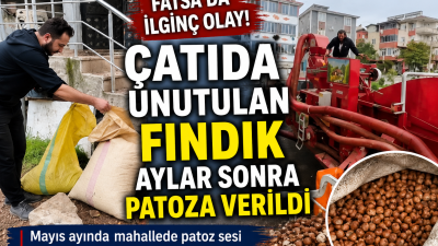 Geçen sezondan kalan fındığını evin çatısında unutan üretici, mahsulü aylar