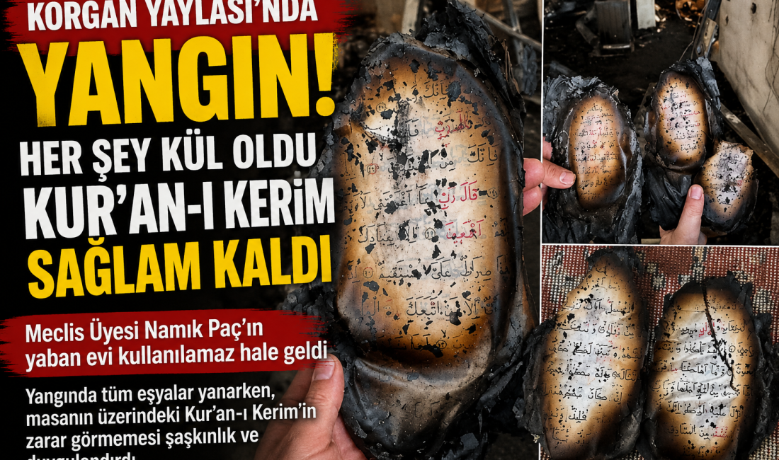 Ordu Büyükşehir Belediye Meclis Üyesi Namık Paç’a ait yaban evinde