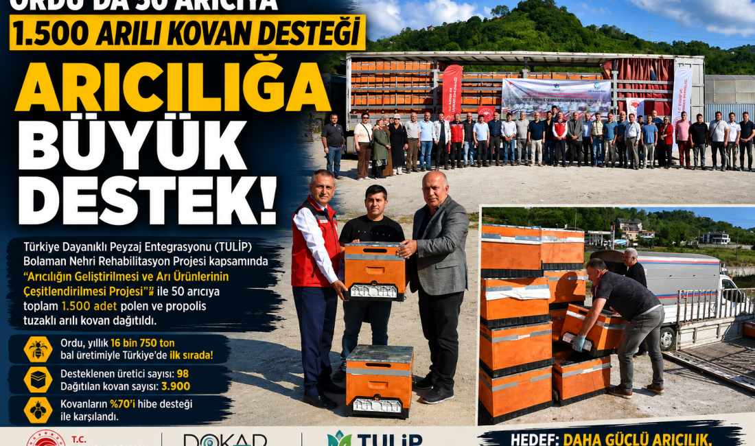 Ordu’da arıcılığın geliştirilmesi ve arı ürünlerinin çeşitlendirilmesi amacıyla yürütülen çalışmalar