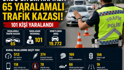Ordu'da 22-28 Haziran 2026 tarihleri arasında meydana gelen 65 yaralamalı