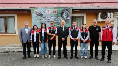 Ordu'da fındık ve tarım ürünlerine zarar veren kahverengi kokarca ile