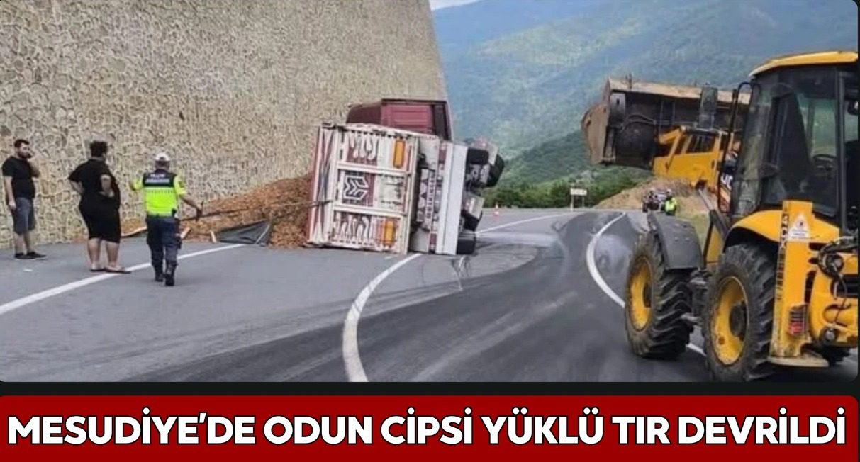 Mesudiye’de Odun Cipsi Yüklü Tır Devrildi tir devrildi