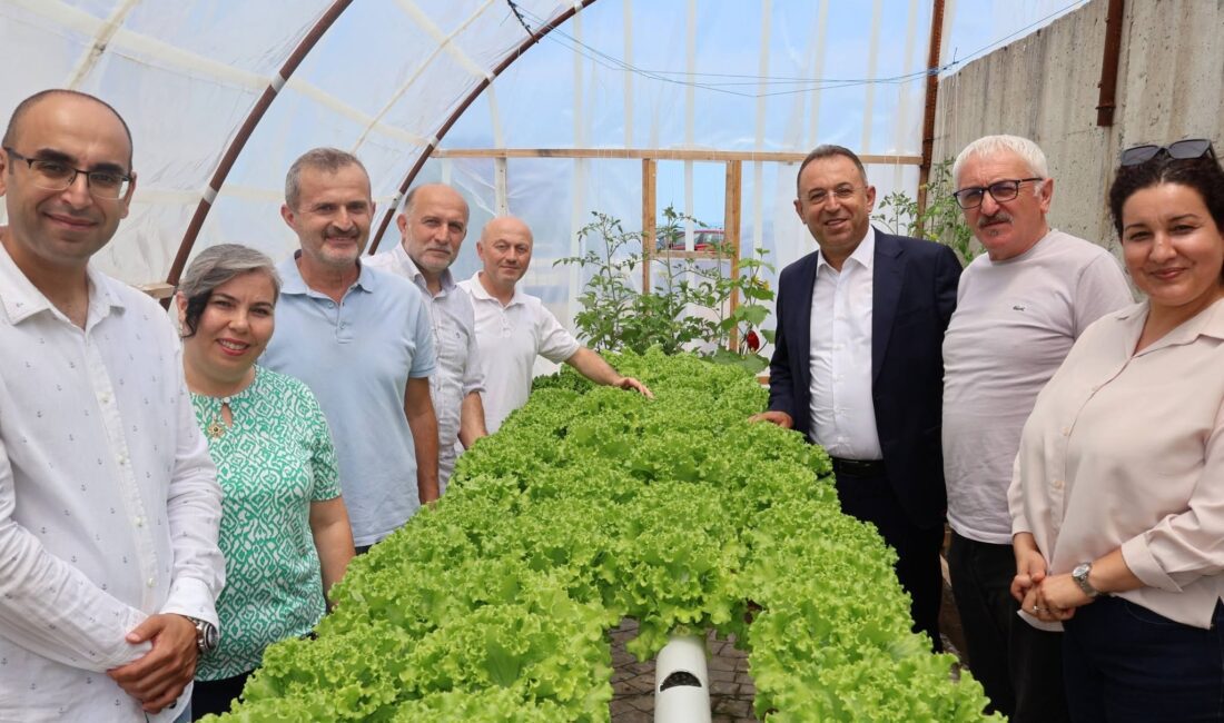 Ünye Şehit Harun Ateş Özel Eğitim Meslek Okulu’nda kurulan hidroponik