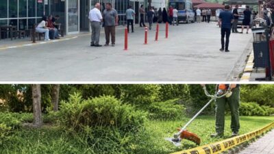 Ordu'nun Kumru ilçesinde bahçede ot biçme çalışması sırasında meydana gelen