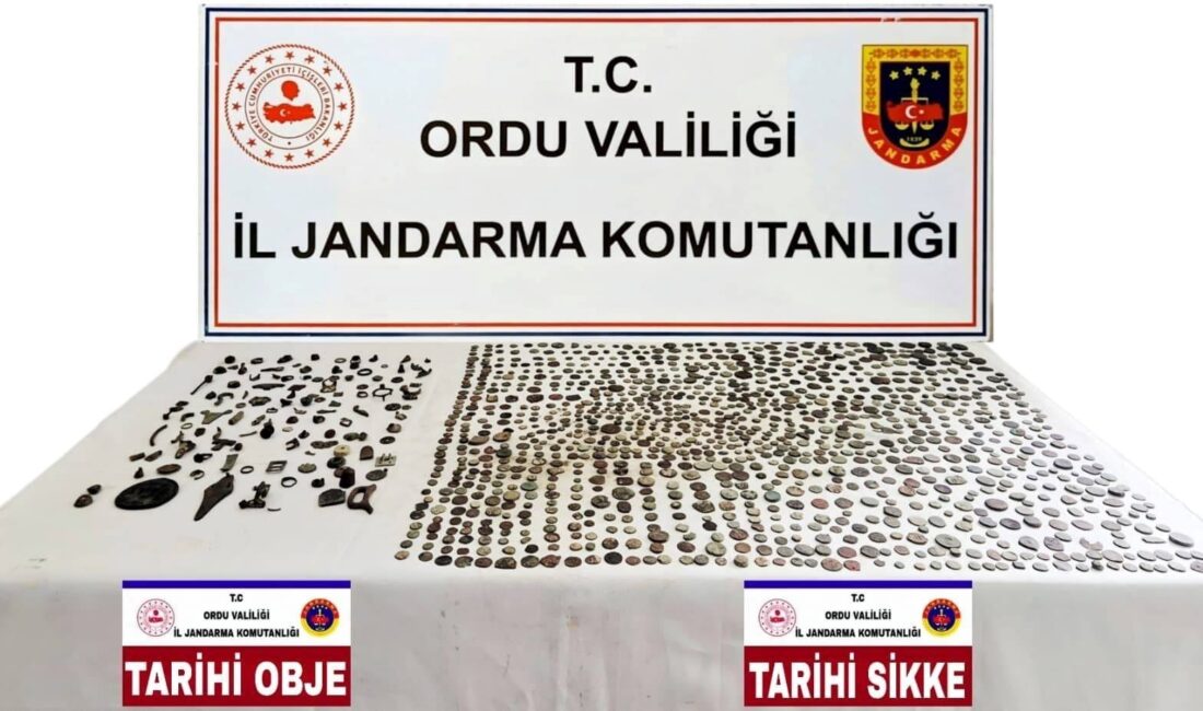 Ordu İl Jandarma Komutanlığının operasyonlarında 1.095 sikke, 121 tarihî obje,